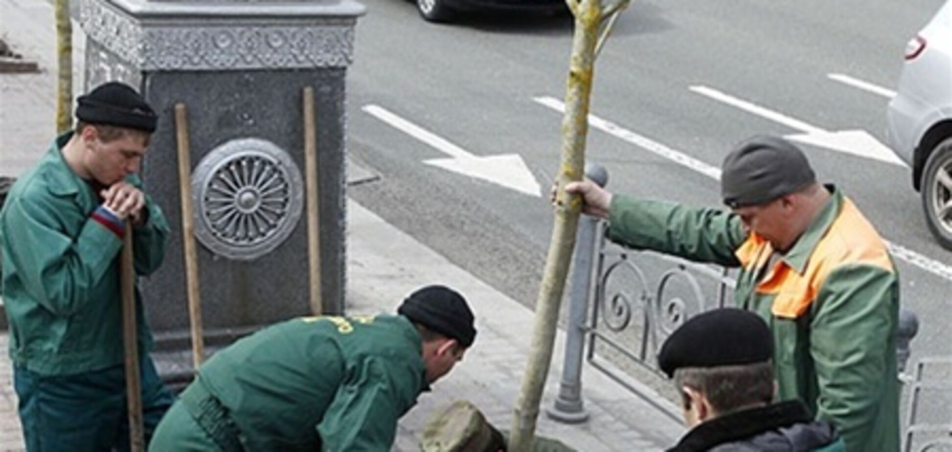 Подозрительные каштаны на Крещатике проверяет прокуратура