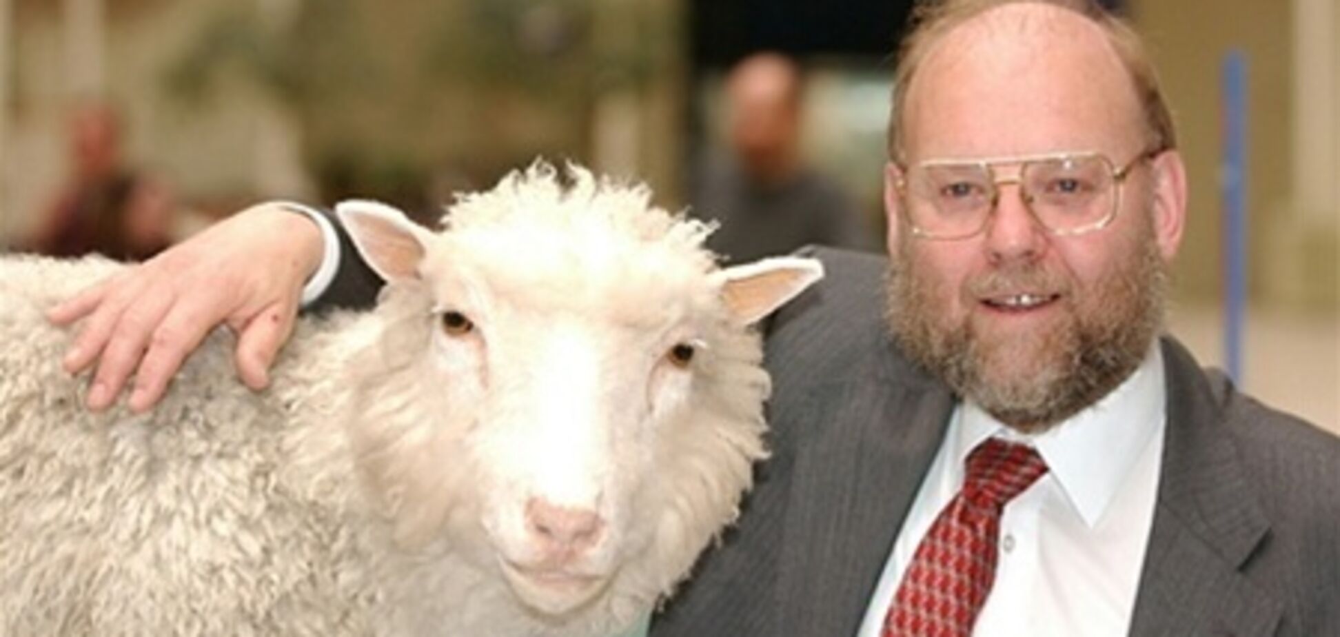 Ученый, создавший овцу Долли, случайно покончил с собой