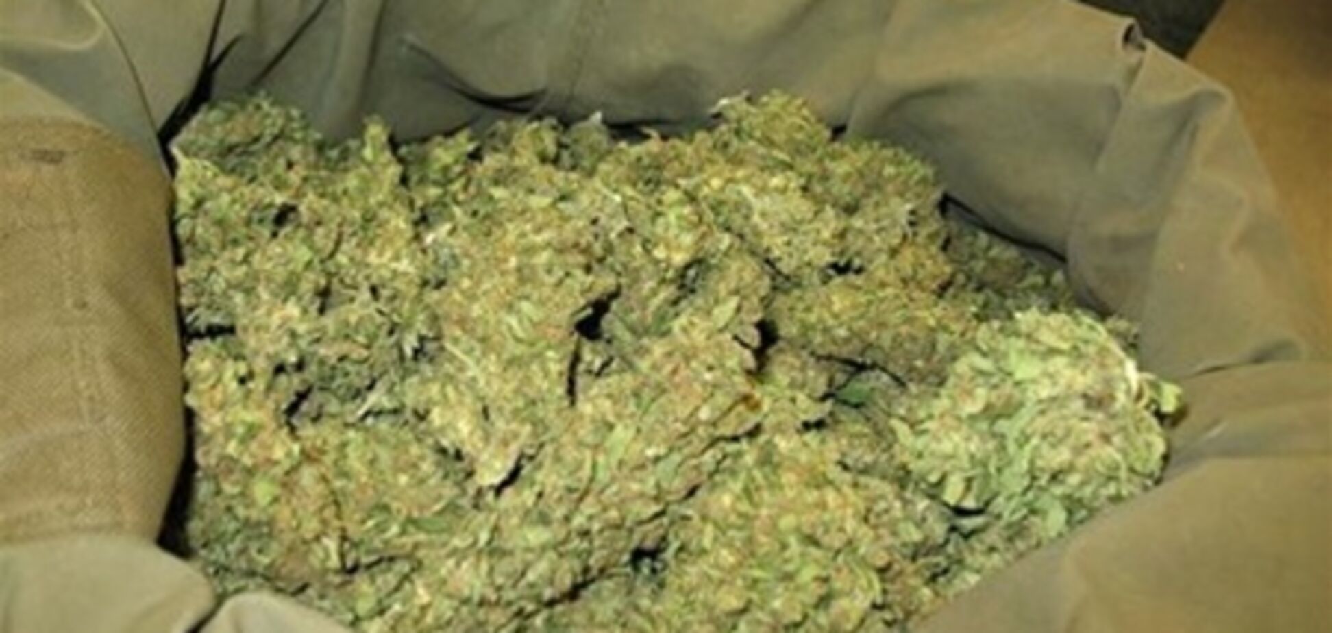 На Херсонщине у двух безработных изъяли 160 кг марихуаны