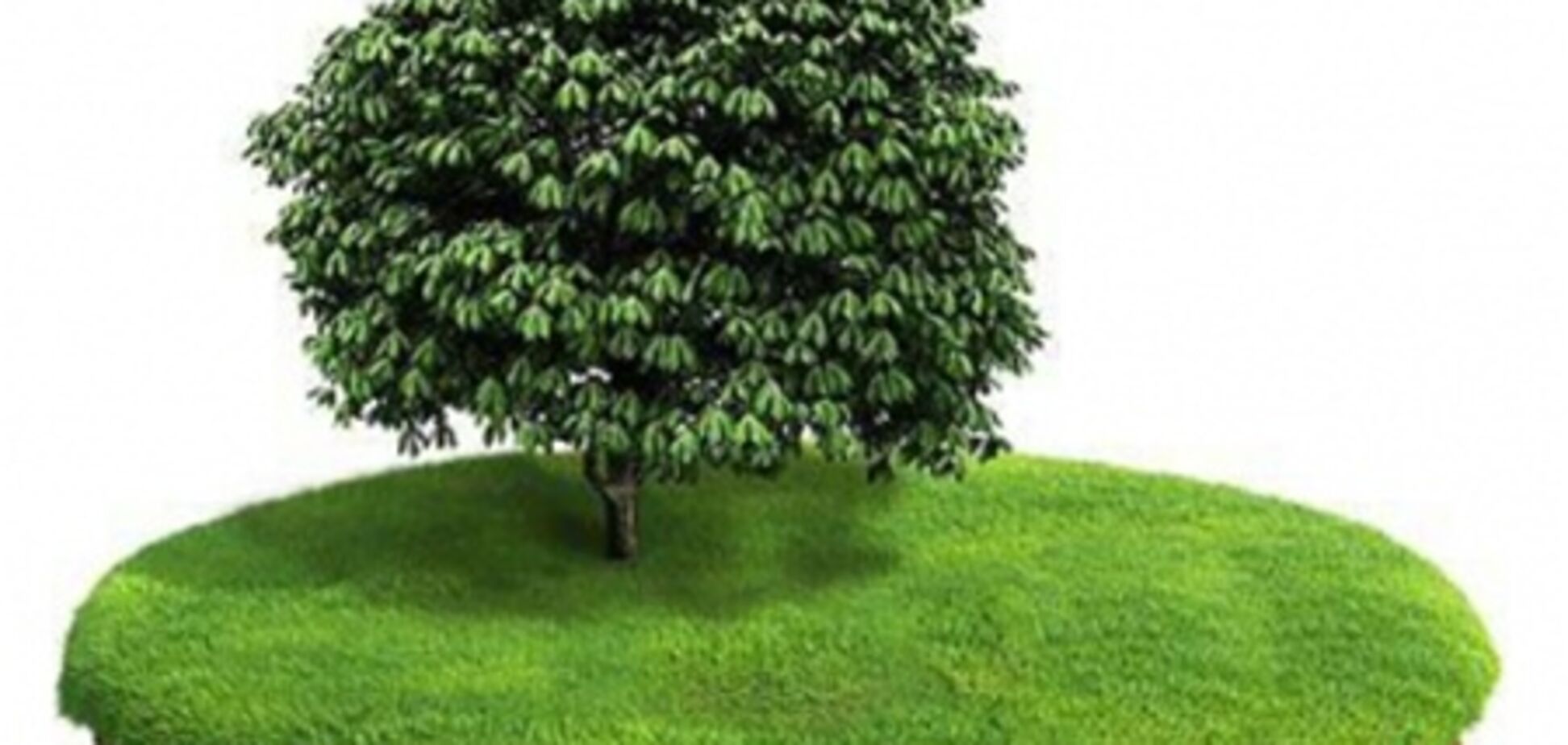 Земля в Украине будет дорожать - эксперт