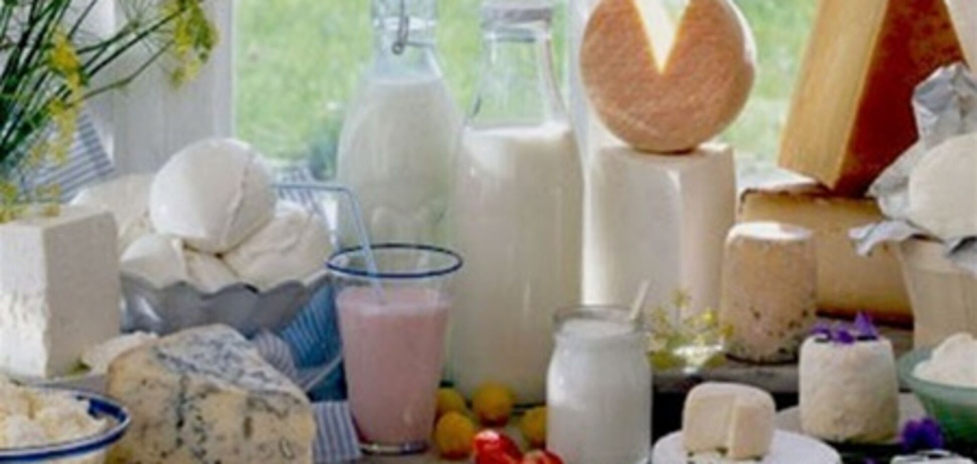 Рада намерена усилить борьбу с поддельной молочкой