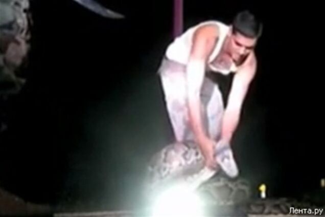 Американець убив самого великого тигрового пітона в світі