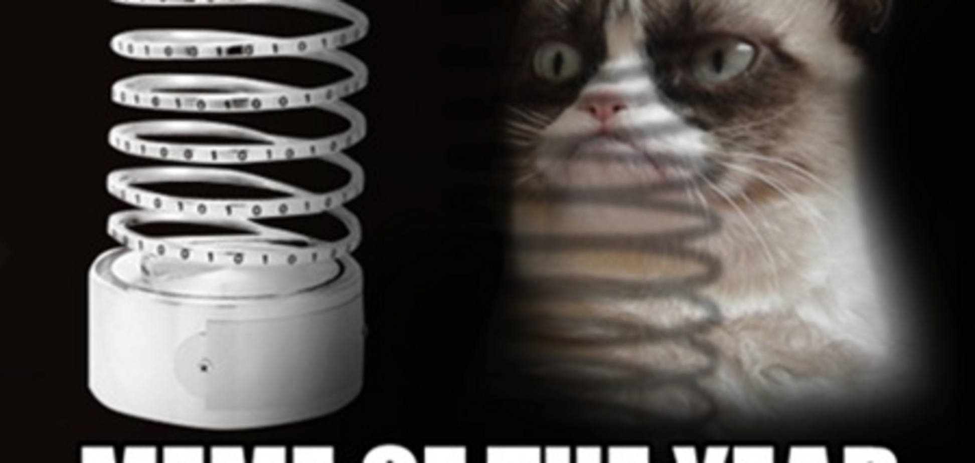 Сердитый кот стал мемом года