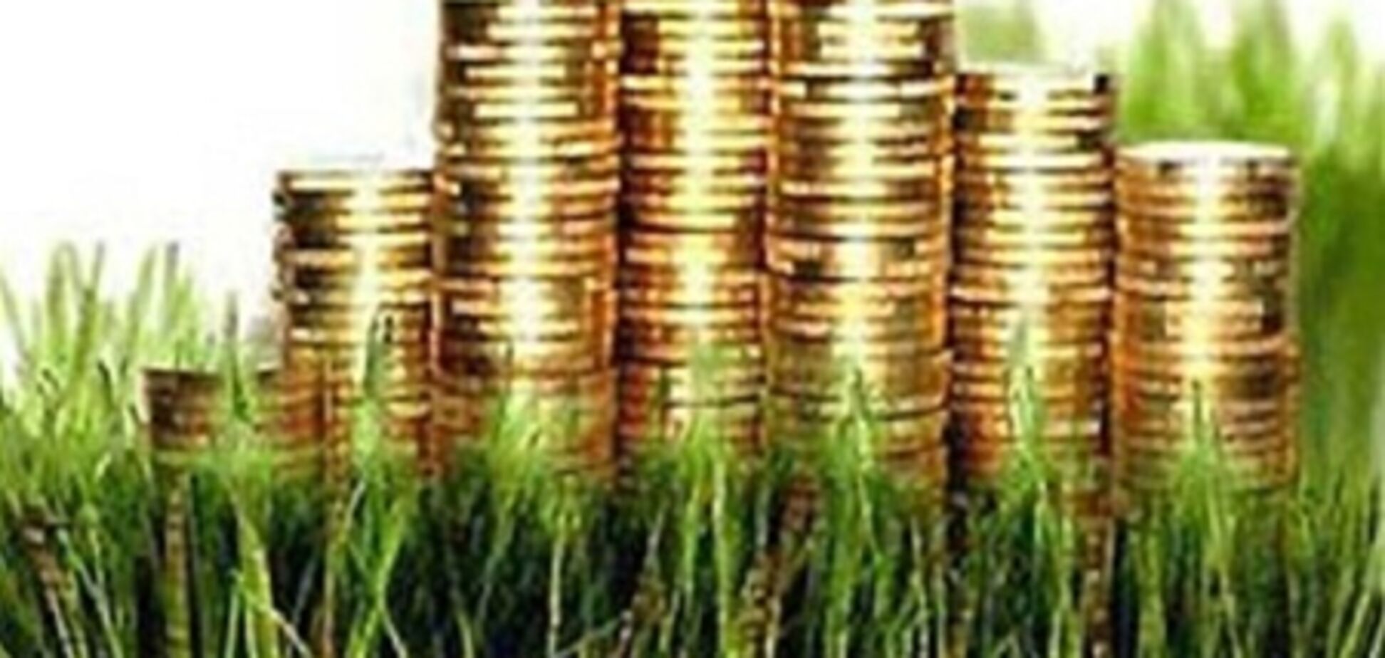 Пенсионеров освободили от уплаты земельного налога