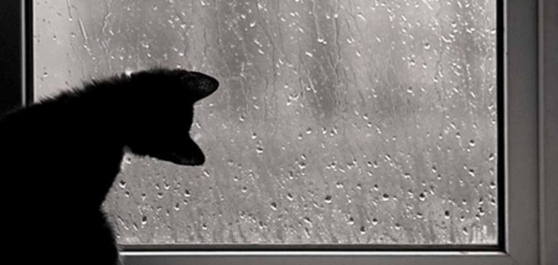 Москва за добу отримала третину травневих опадів