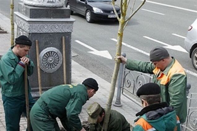 Фальшивые каштаны на Крещатике: украдено 1 млн грн.