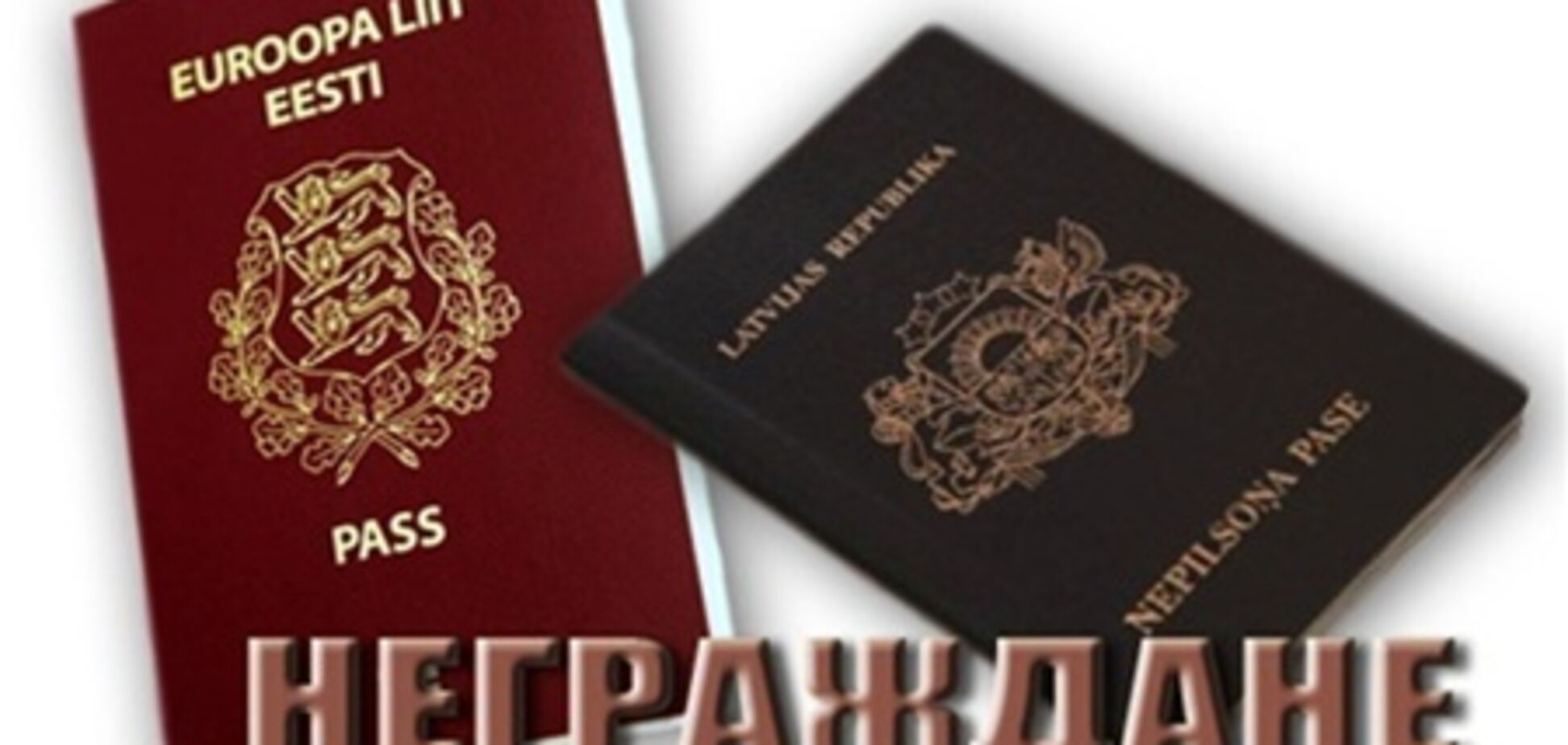 Латвийских неграждан обвиняют в попытке переворота