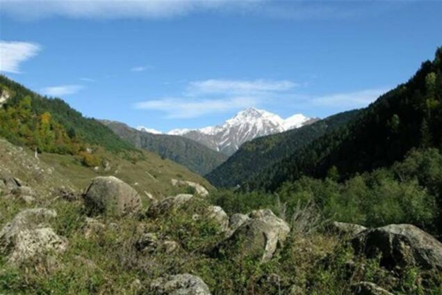 Грузия обвинила Россию в нарушении 'условной границы'