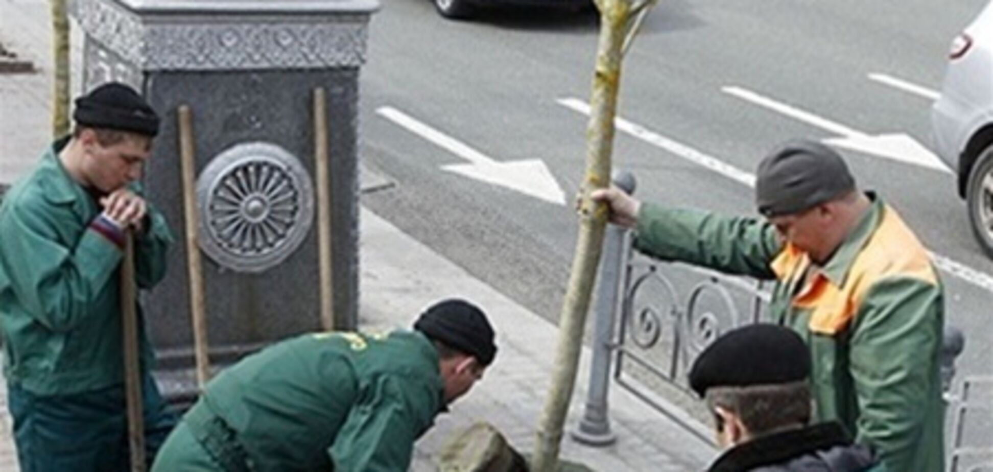 Главу Шевченковской РГА могут уволить из-за каштанов - СМИ