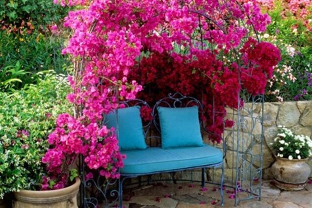 Как обустроить дачу по фэн-шуй