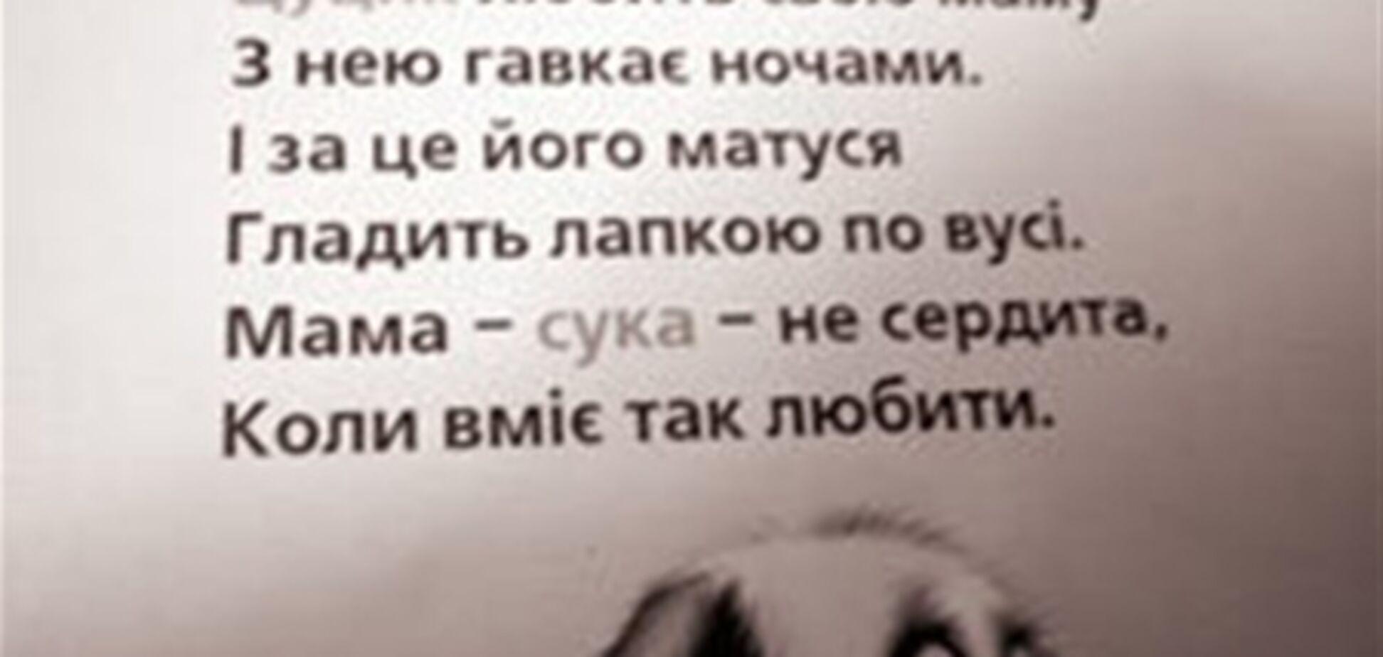 Украинским малышам предлагают стихи о 'мамах-суках'