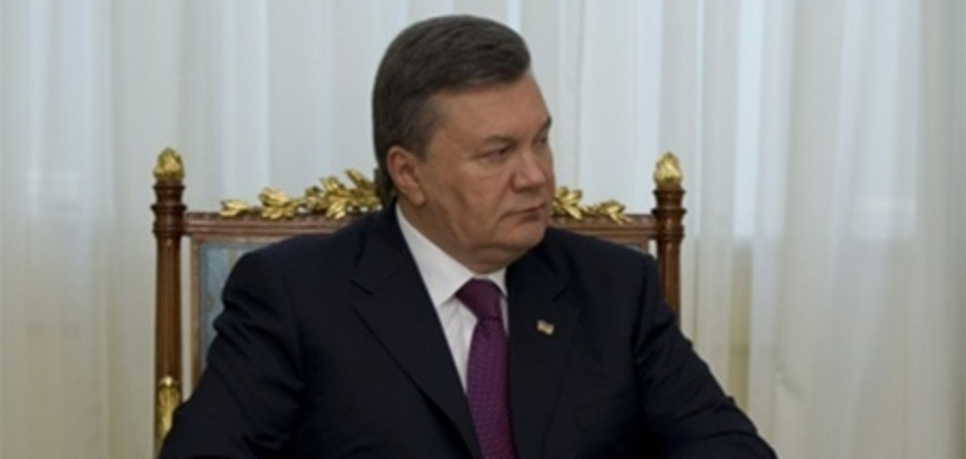 Статус України в МС буде закріплений 31 травня - Янукович