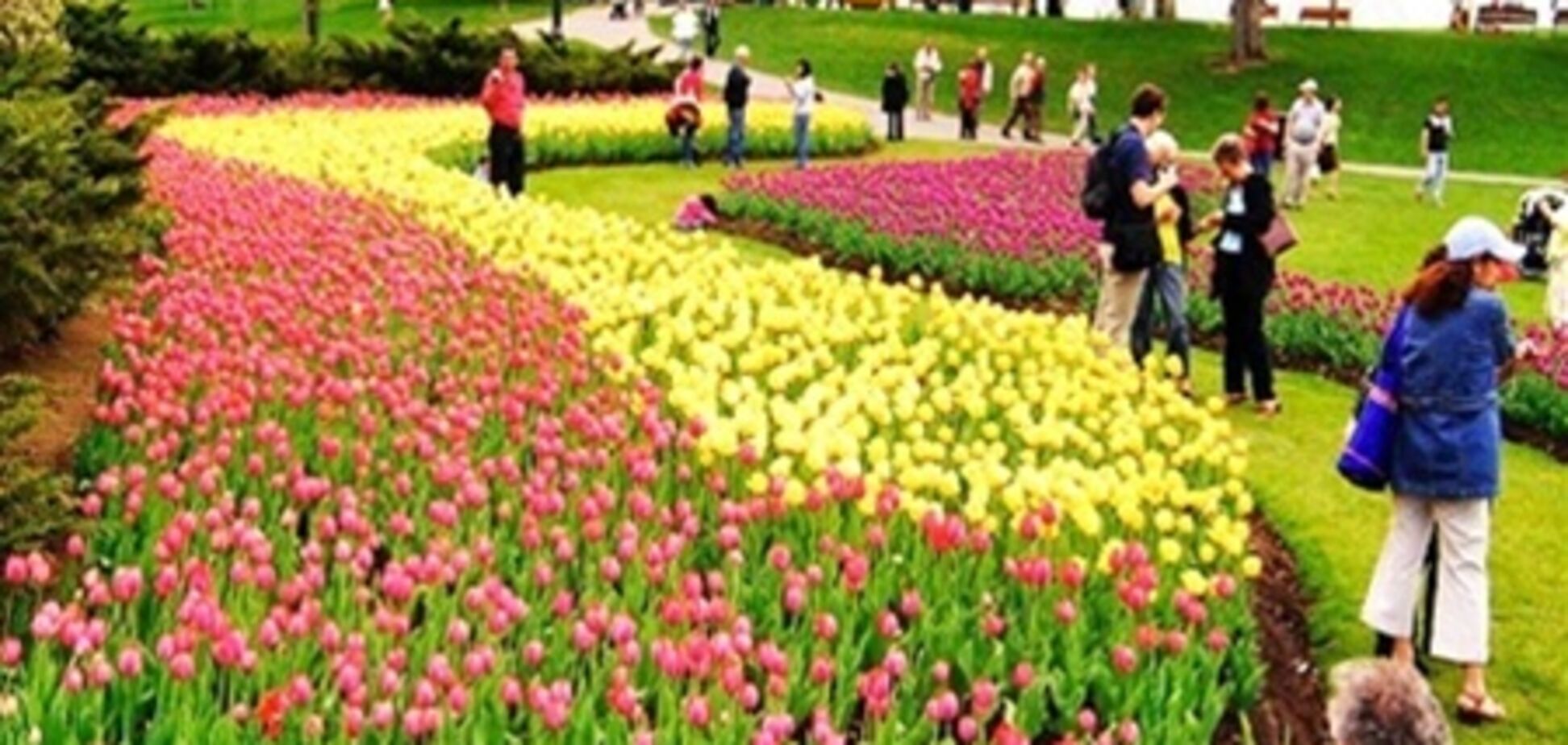 Найбільший у світі фестиваль тюльпанів стартує в Канаді