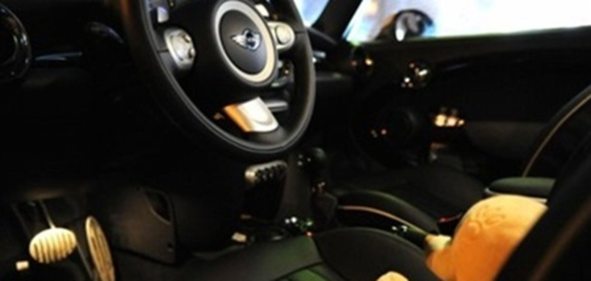 Американець намагався здати поліції ведмедя