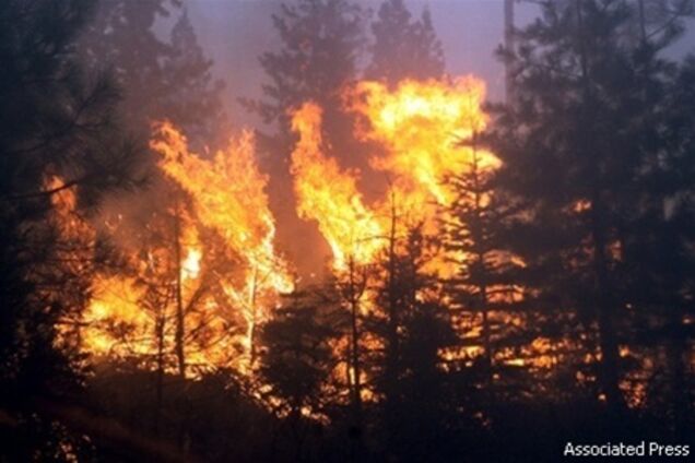 Огонь уничтожил знаменитые виноградники в Калифорнии