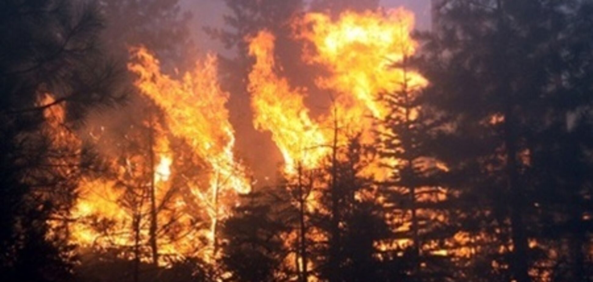 Огонь уничтожил знаменитые виноградники в Калифорнии 
