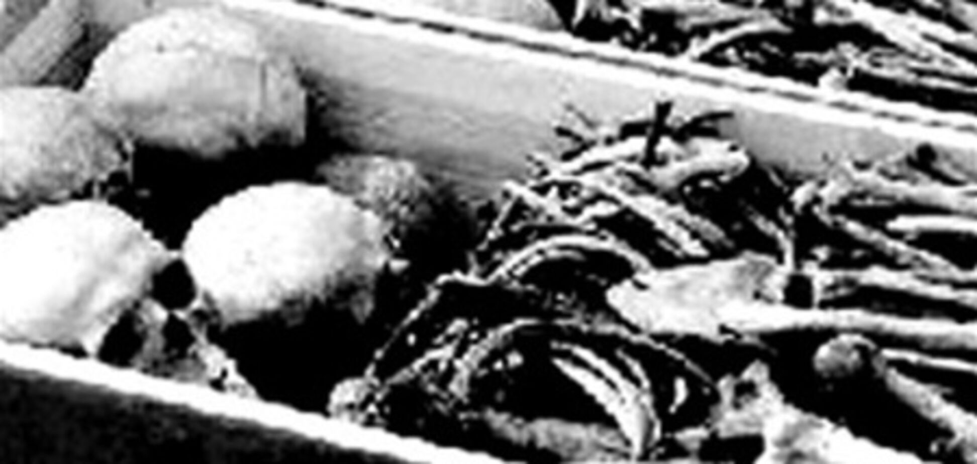 У Воронежі знайдені масові поховання жертв політрепресій