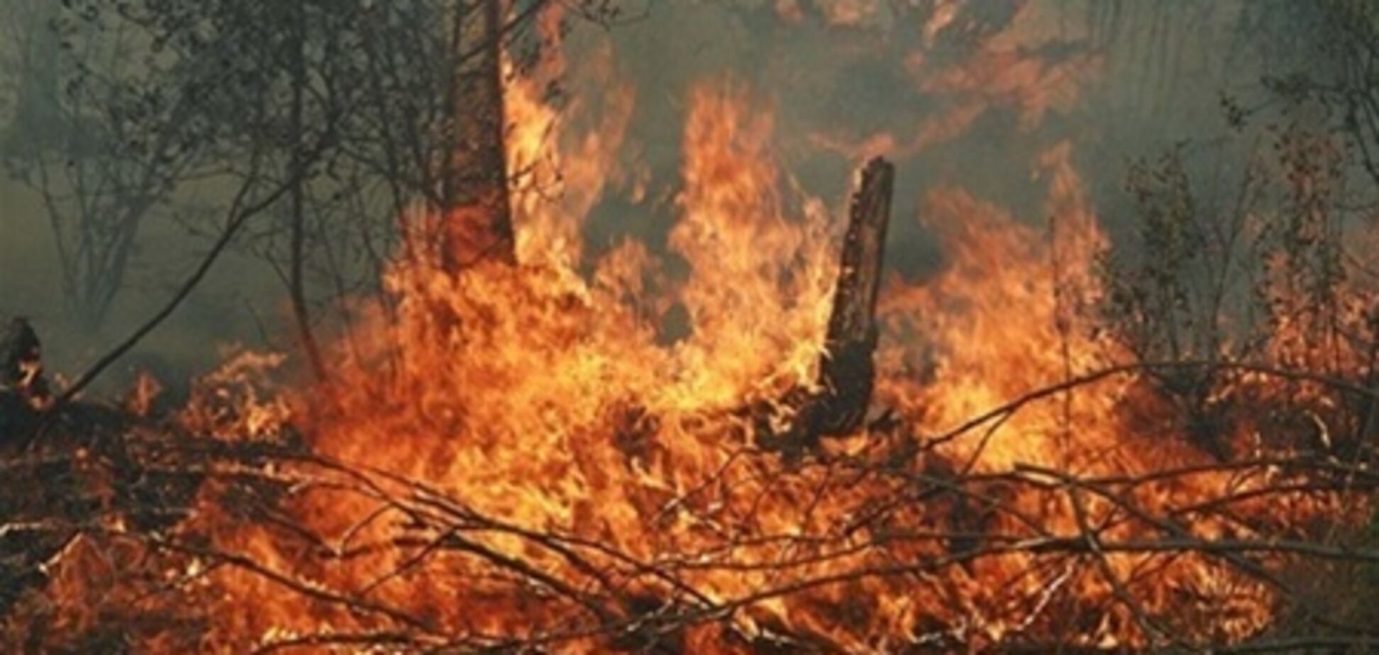 В Украине высокая пожарная опасность сохранится на неделю