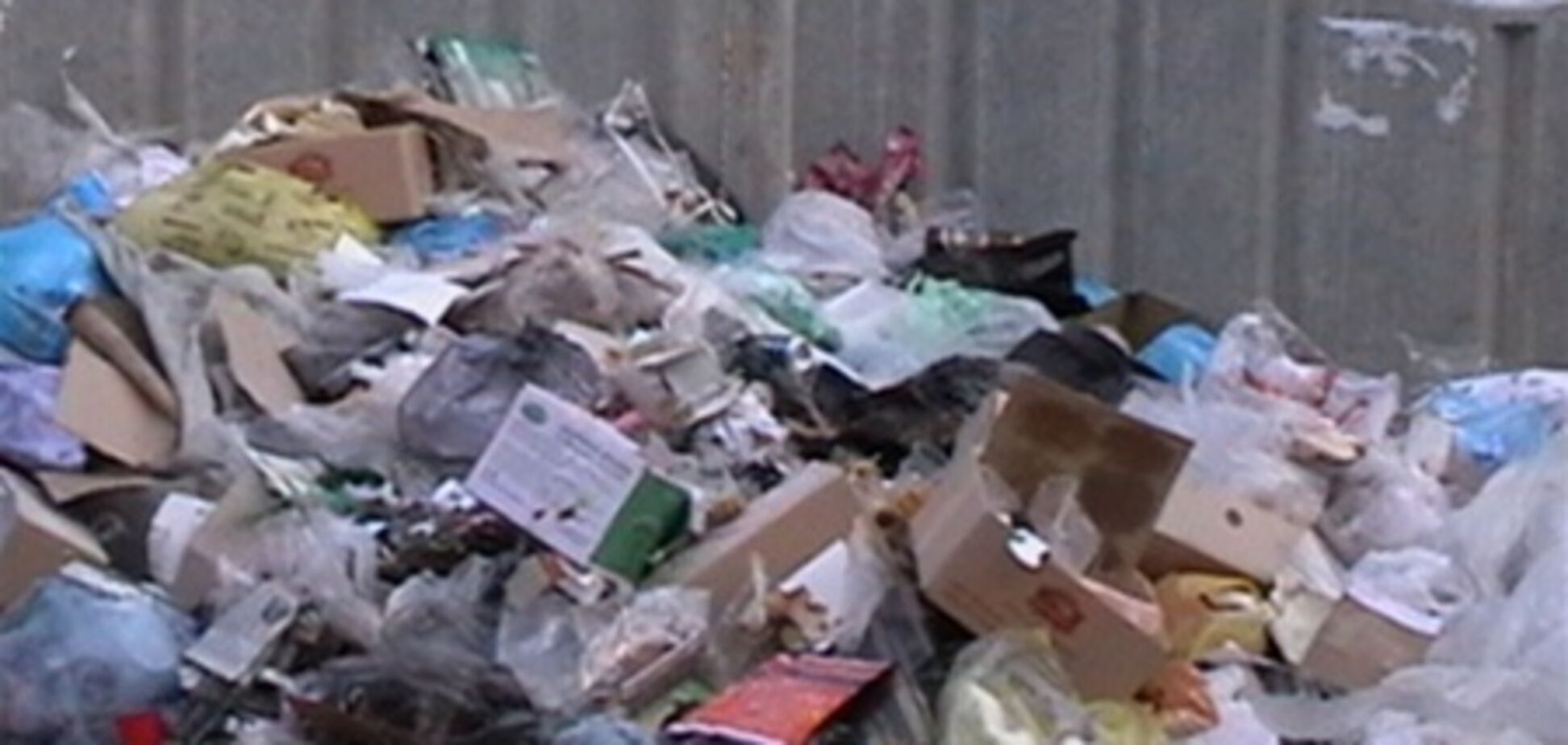 В Подмосковье под колесами погрузчика погиб таджик, спавший в куче мусора