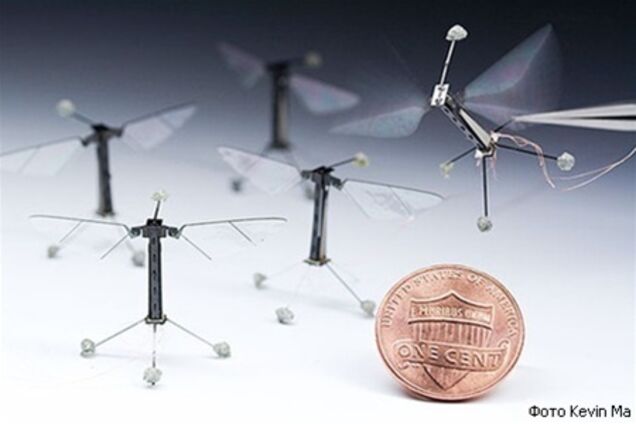 Ученые сконструировали робота-муху