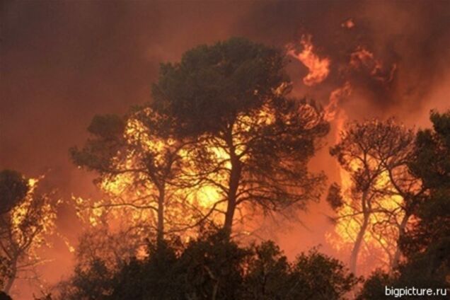 Лісова пожежа в Каліфорнії гасять дві тисячі осіб