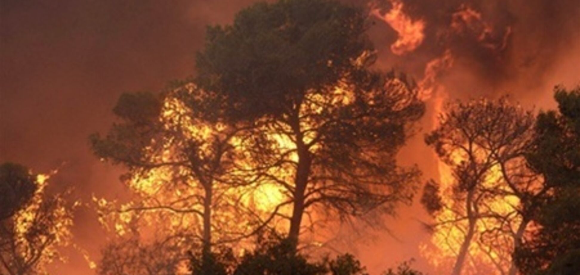 Лесной пожар в Калифорнии тушат две тысячи человек