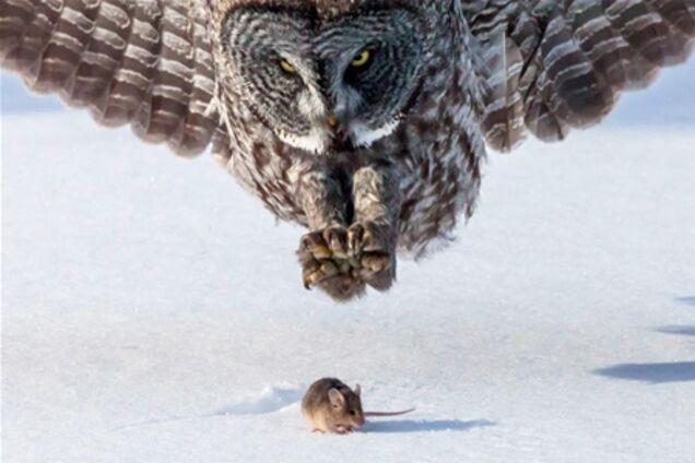 Лучшие фото апреля от National Geographic