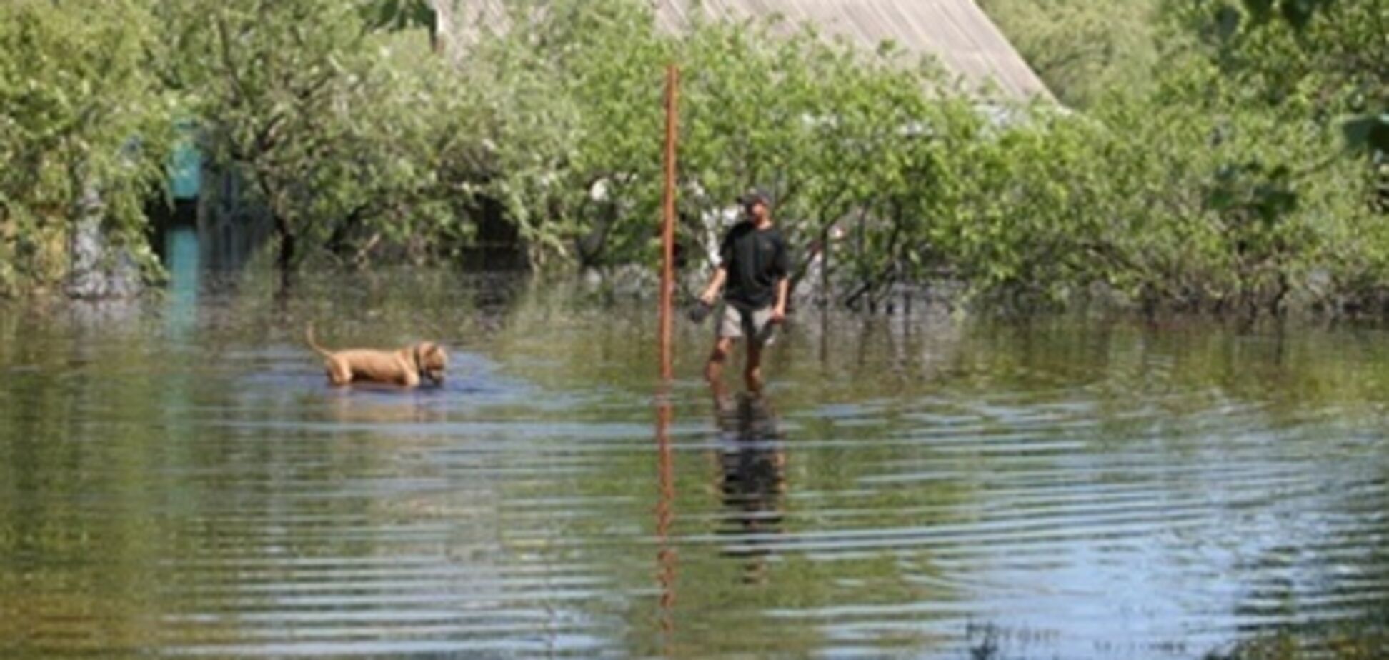 Опасная вода: как Днепр наступает на Киев