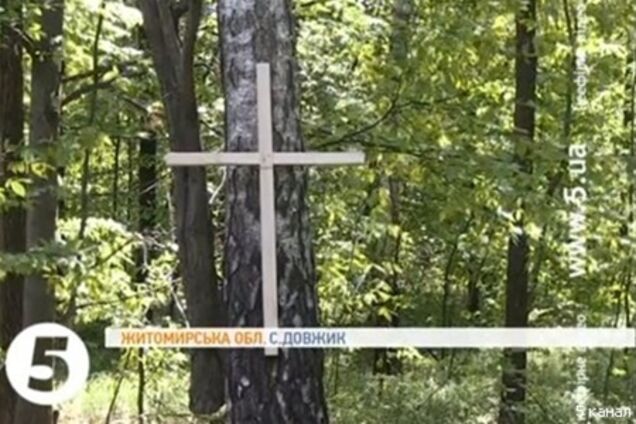 На Житомирщині поховання жертв ВВВ роздали під полуницю