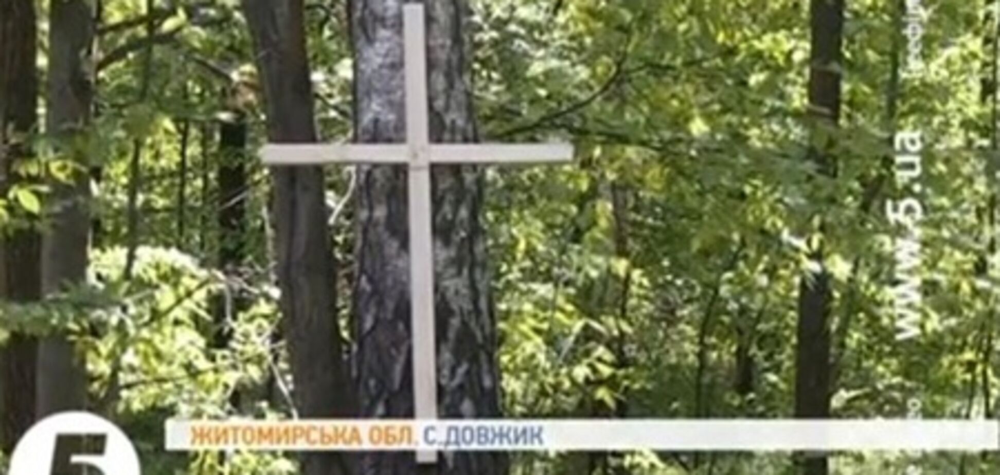 На Житомирщині поховання жертв ВВВ роздали під полуницю