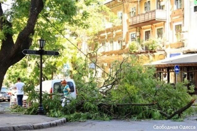 Янукович взял под контроль ураган в Одессе