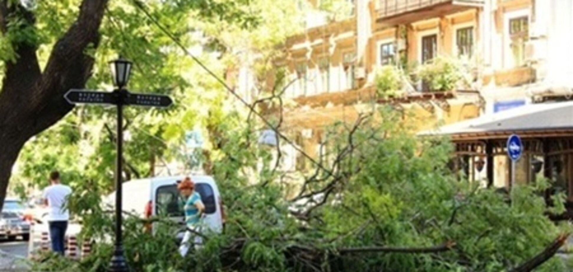Янукович взял под контроль ураган в Одессе