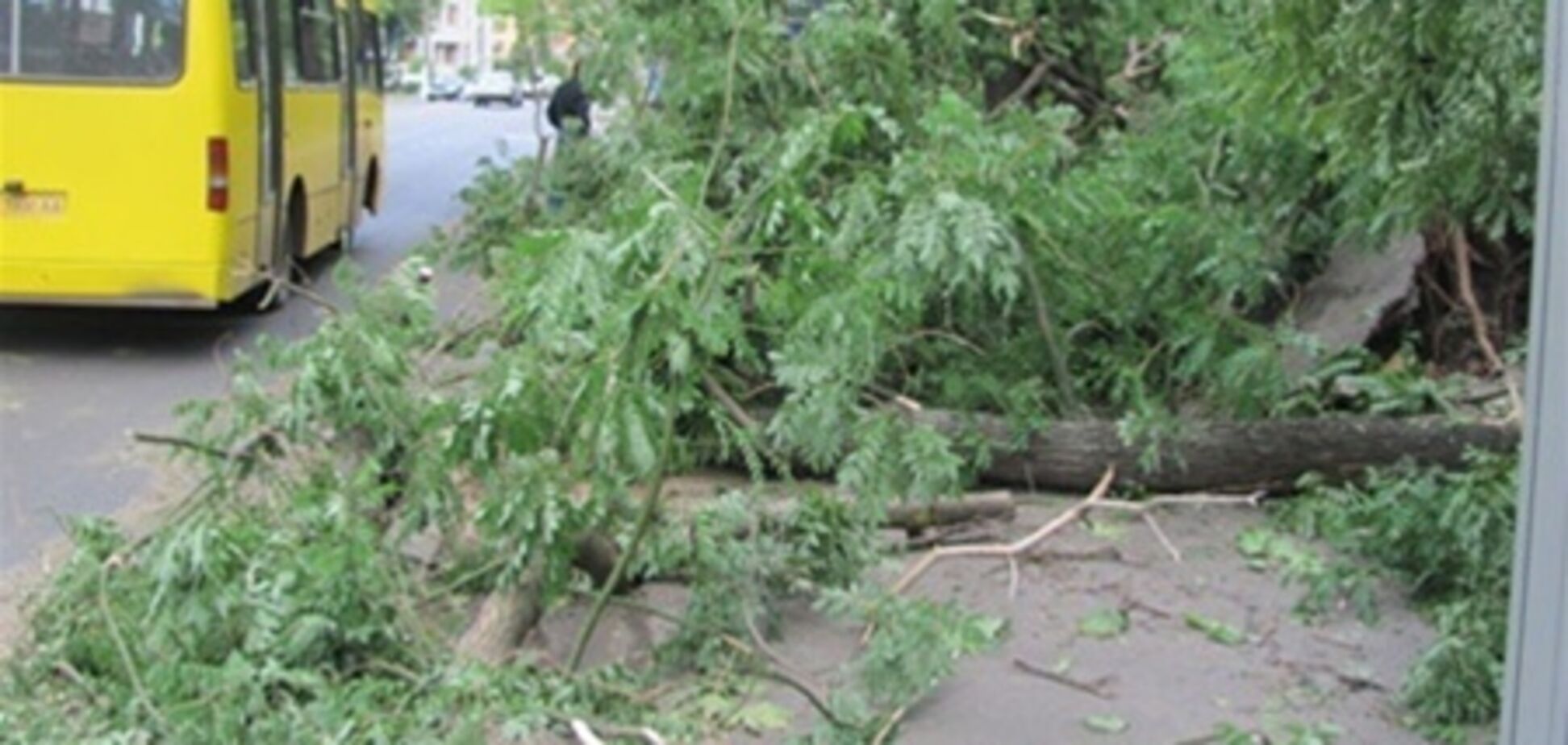 Костусев участвует в ликвидации последствий урагана в Одессе