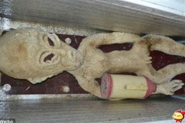 Китаєць зберігає в холодильнику мертвого інопланетянина