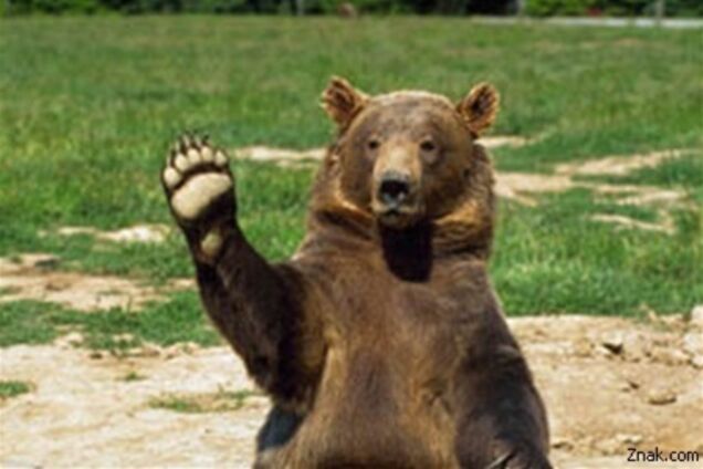 У Росії ведмідь забрів на громадський свято