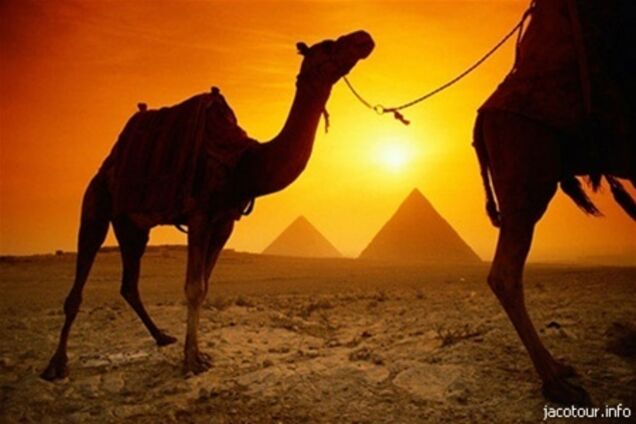 Египет разорвал отношения с Сирией