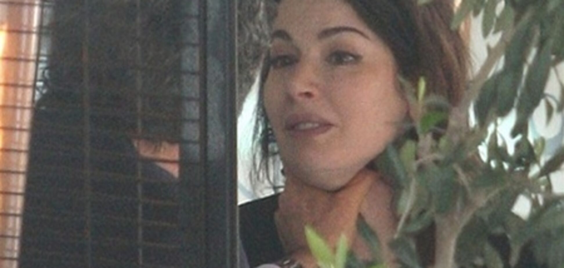 Коллекционер Саатчи едва не задушил свою звездную жену. Фото