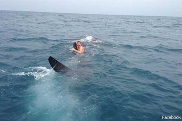 Американець прокотився на 9-метрової китової акулі