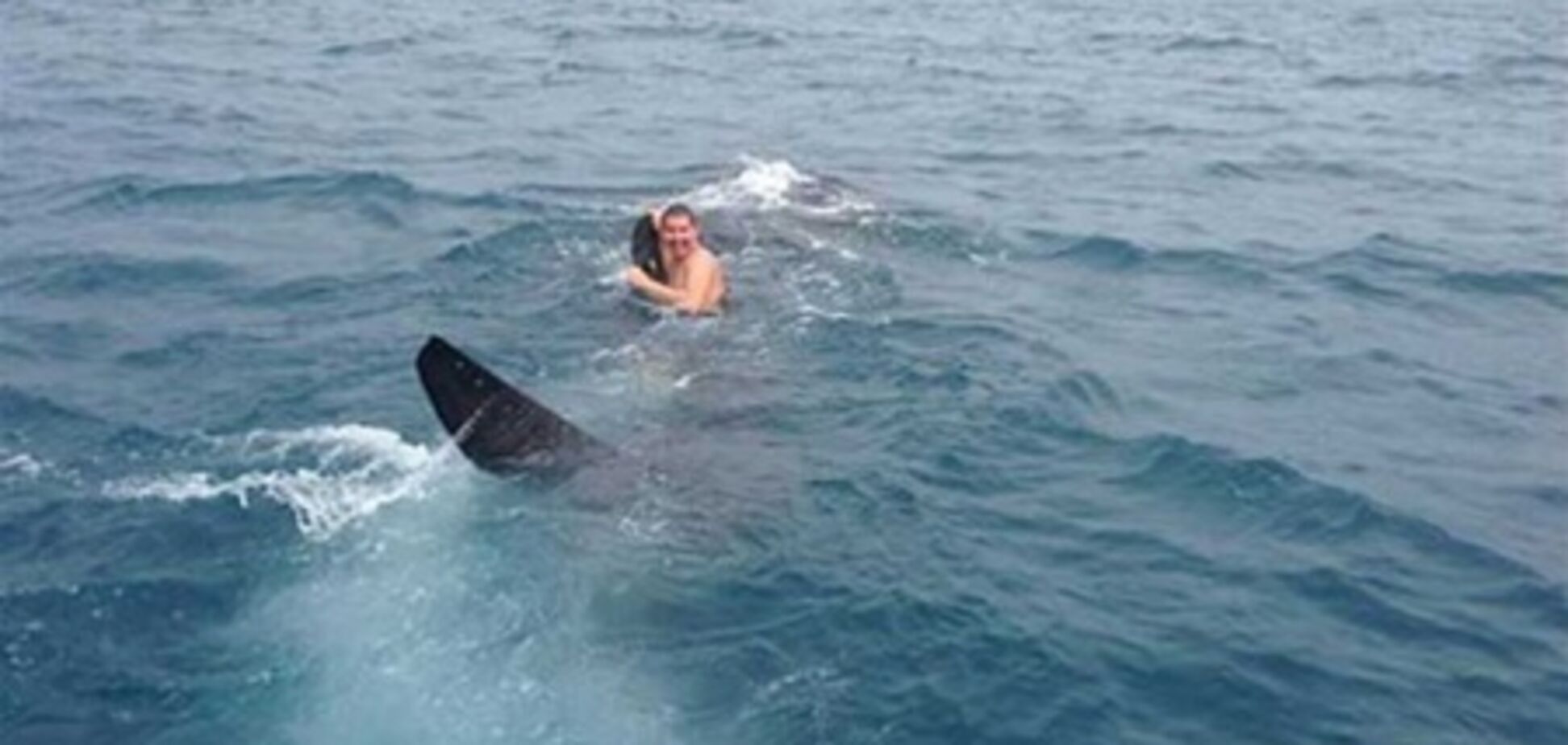 Американец прокатился на 9-метровой китовой акуле