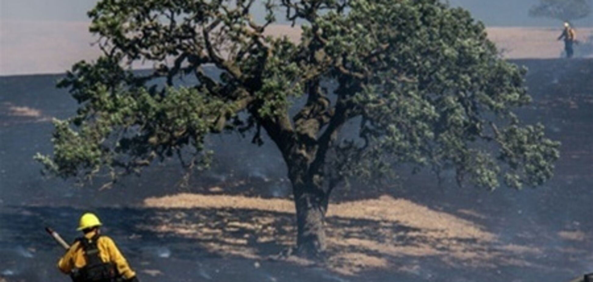 Горять ліси Каліфорнії: евакуйовано дві тисячі осіб