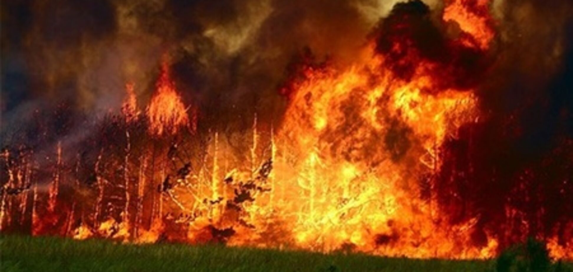 В Украине объявлена высокая пожароопасность