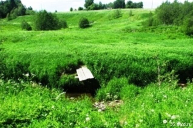 У Росії 23-річний мисливець за металом вкрав міст