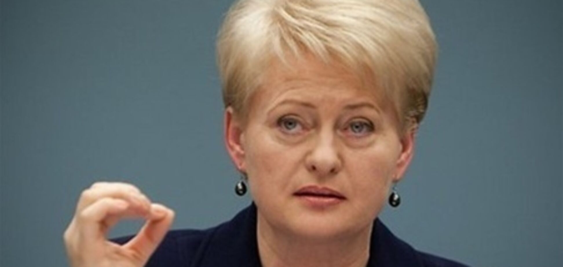 Президент Литвы видит страну ядерной