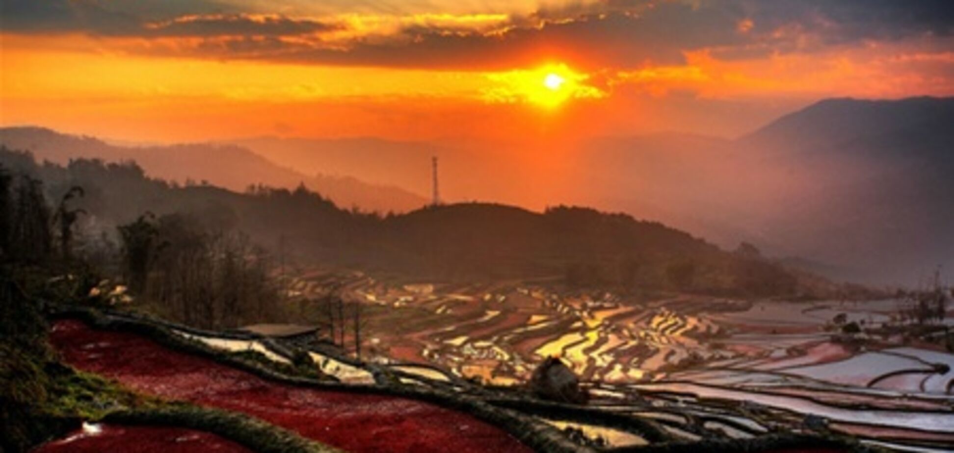 Рисові тераси в Китаї стали всесвітньою спадщиною