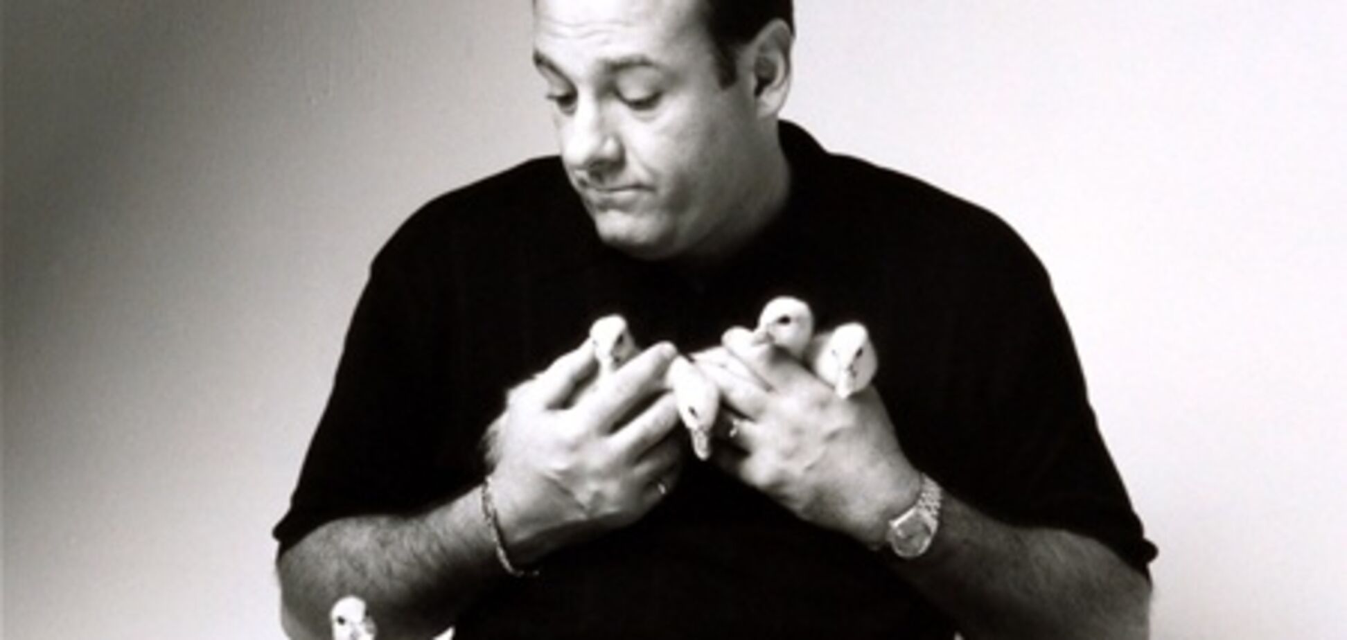 Бродвей погрузится в темноту в память о Гандольфини