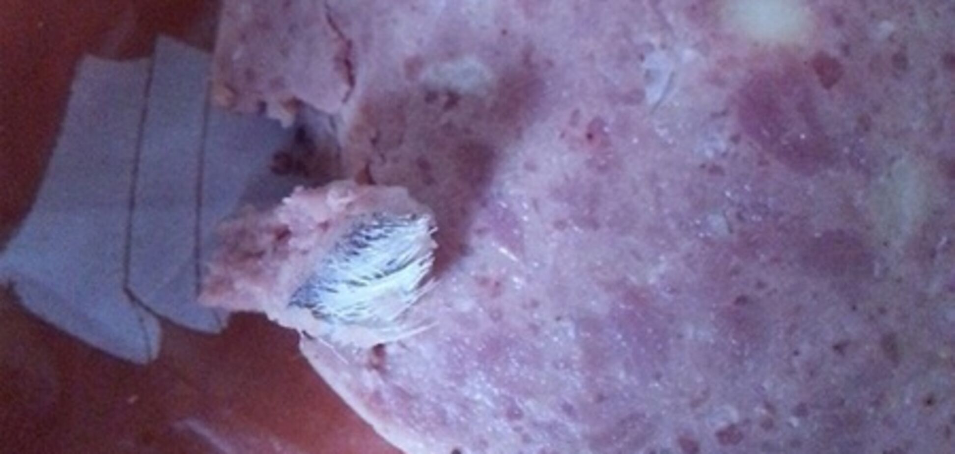 У Криму виник скандал навколо ковбаси з шматками шерсті