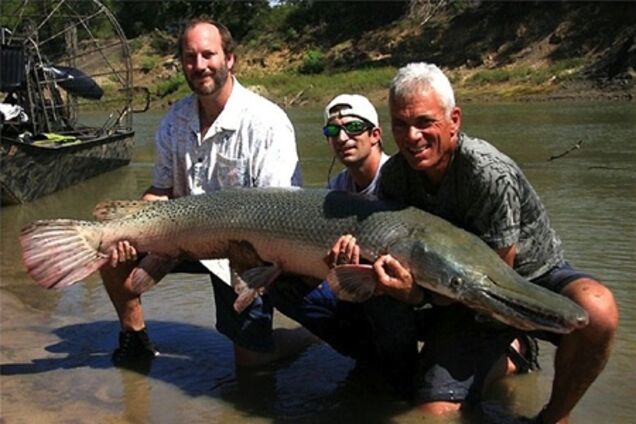 Рибні монстри