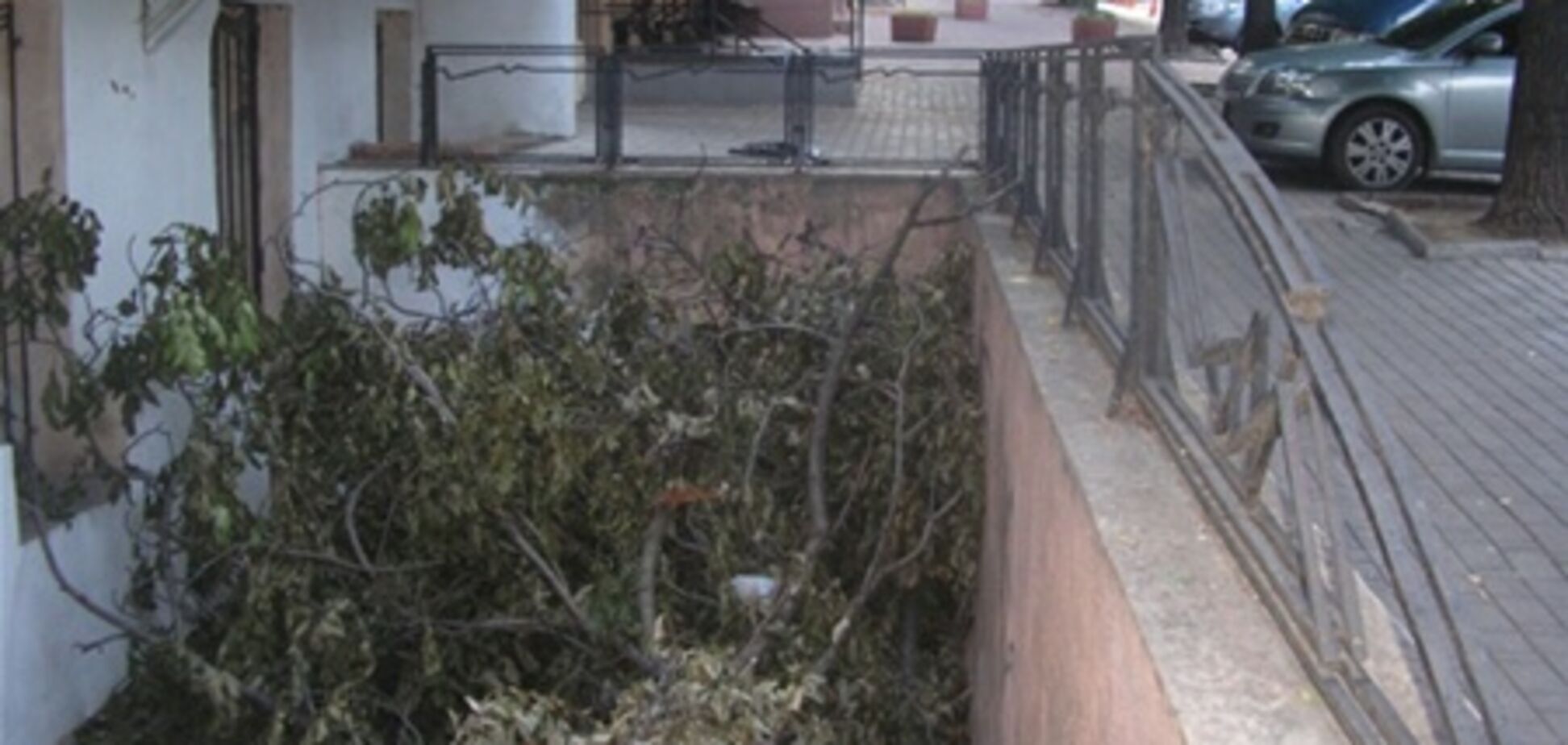 Місяць після урагану в Одесі: купи дерев і сміття