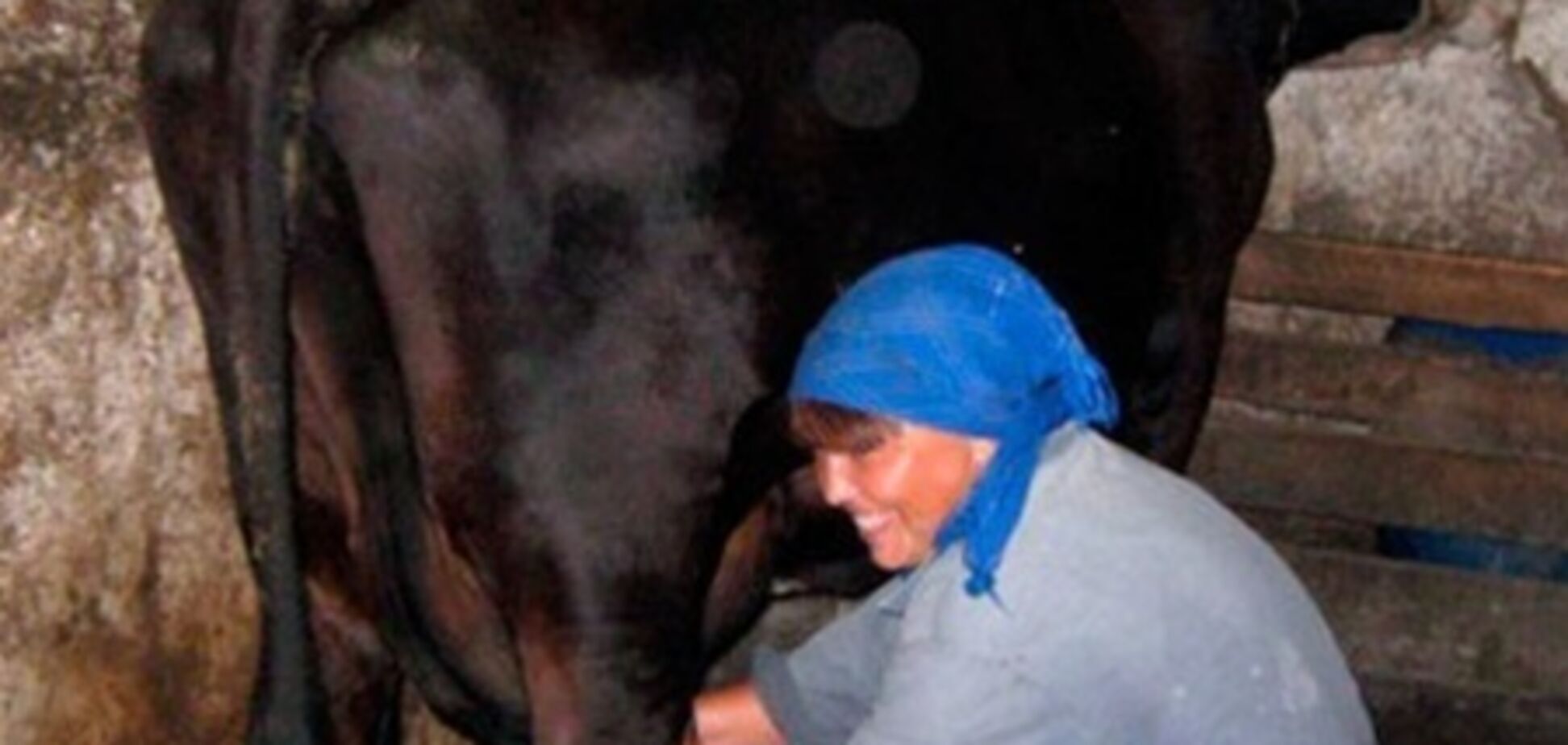 В Беларуси ищут доярок на зарплату в 21 миллион