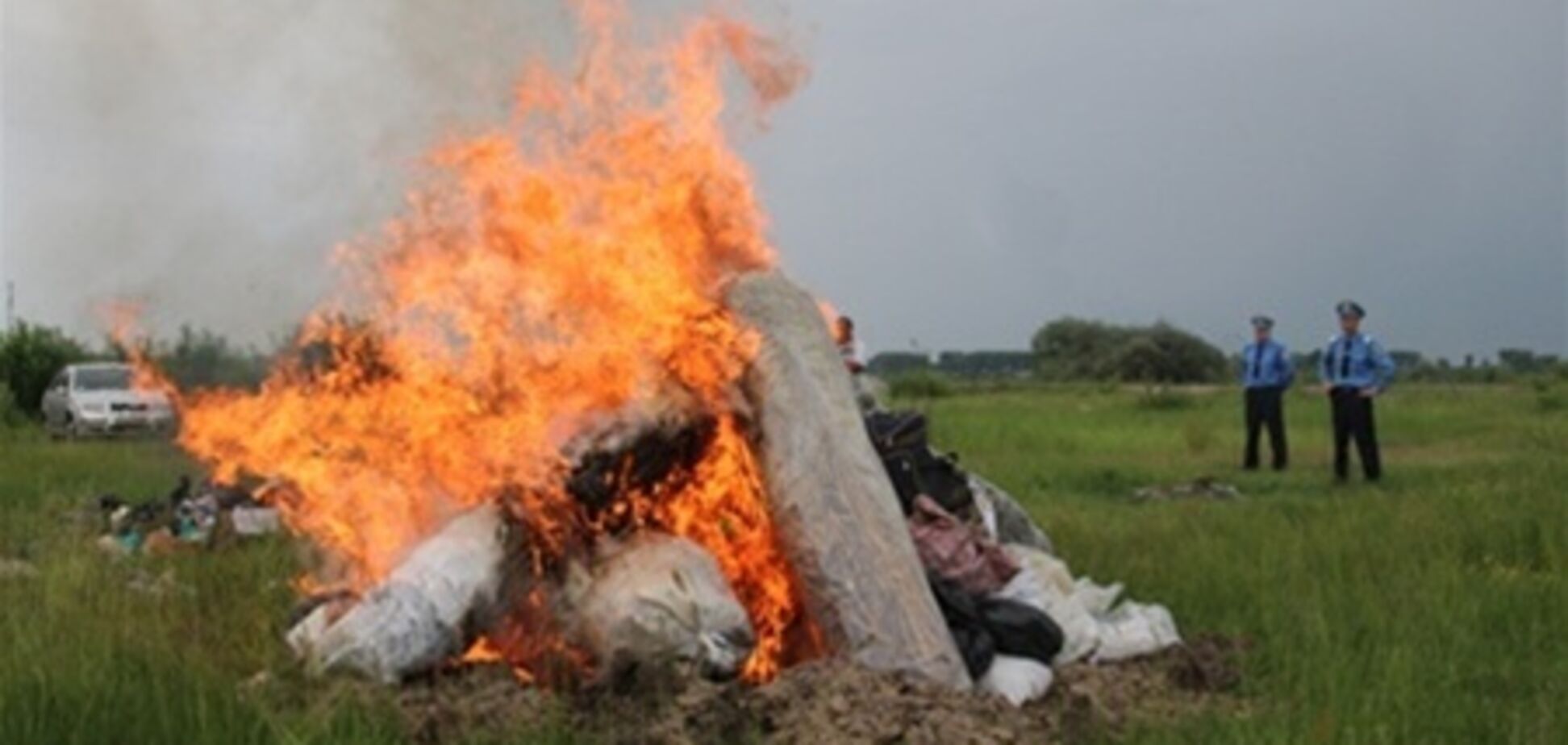 На Житомирщине сожгли наркотиков на 2 млн грн